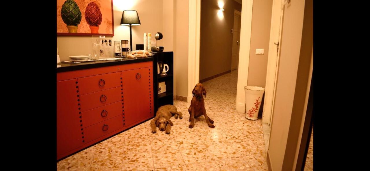 Due Cani Palermo Zewnętrze zdjęcie